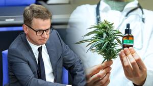 Linnemann will Cannabis einschränken