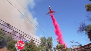 Feuerstürme in Los Angeles: Lage in Pacific Palisades weiter kritisch