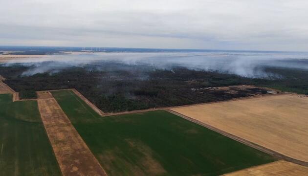 Feuer in der Gohrischheide: Bringen Schauer eine Entlastung?
