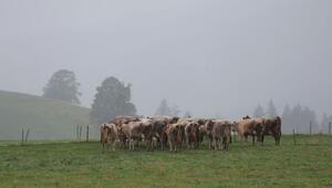 Wetter in Bayern