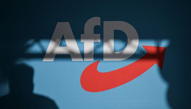 AfD Parteilogo