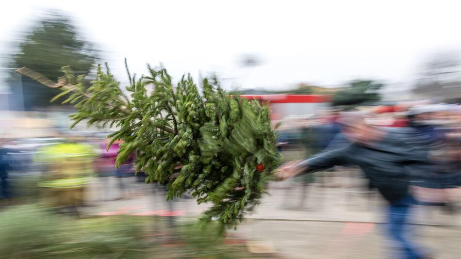 Weihnachtsbaum-Weitwurf