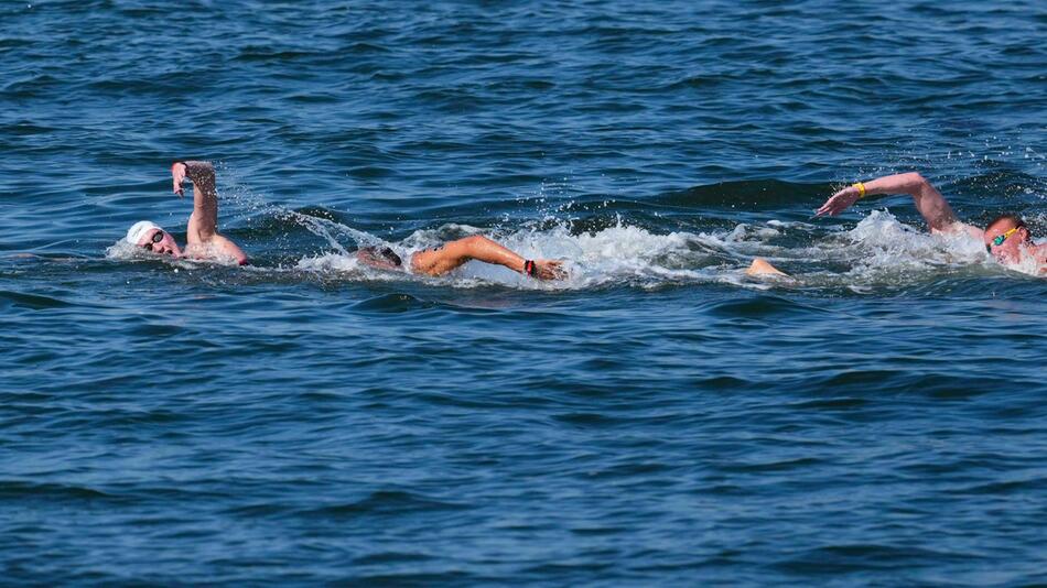 Schwimm-WM in Singapur - Freiwasser