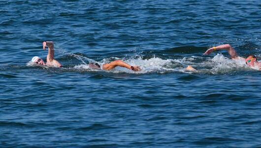 Schwimm-WM in Singapur - Freiwasser