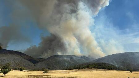 Hitzewelle in Australien heizt zerstörerische Buschbrände an