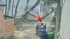 Baum kracht auf Dreirad – Fahrerin entkommt in letzter Sekunde