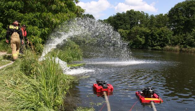 Fischsterben im Gleiwitzer Kanal in Polen