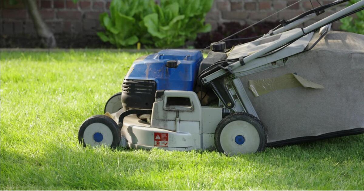 Die vier häufigsten Fehler beim Rasenmähen | WEB.DE