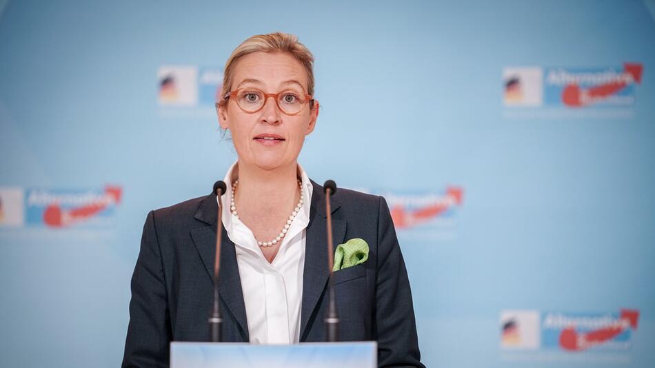 AfD-Vorsitzende Weidel