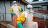 Ebola in der DR Kongo