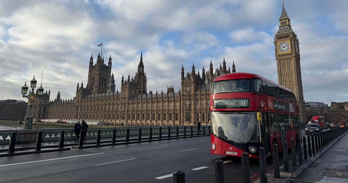 London Bus Drivers Demand Action as Cockroach Infestation Shocks Passengers