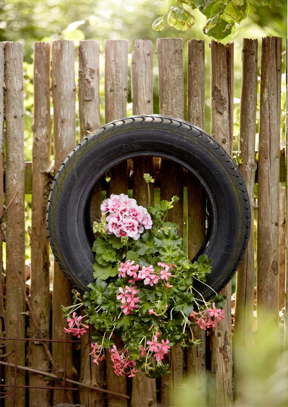 Upcycling-Projekt für den Garten: Geranien in Autoreifen pflanzen