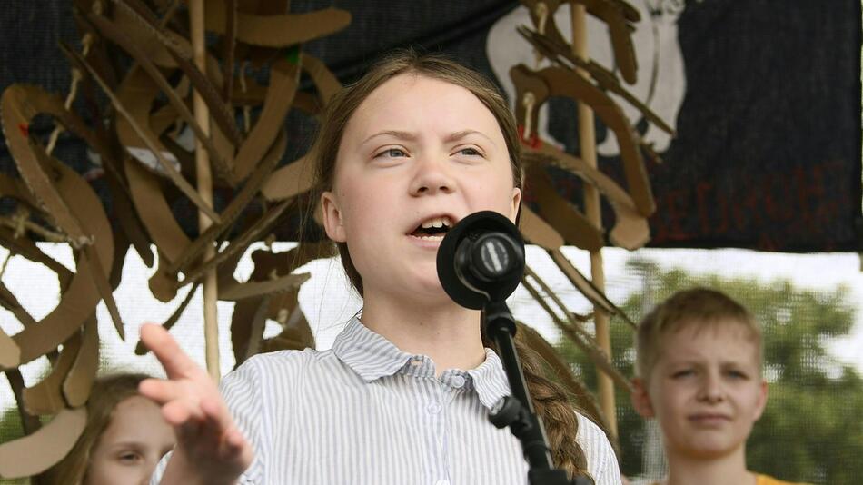 Fridays for Future - Wien