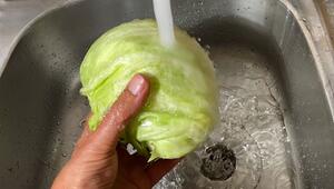 Eisbergsalat wird gewaschen