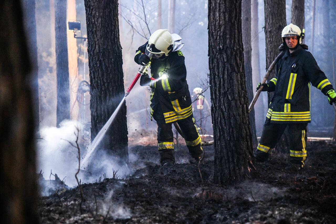 Bild zu Waldbrand bei Oranienburg