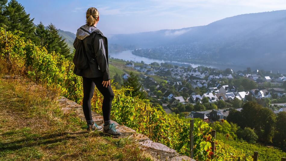 Wandern in den Weinbergen von Rheinland-Pfalz