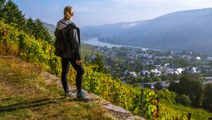 Wandern in den Weinbergen von  Rheinland-Pfalz