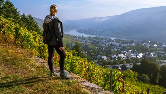 Wandern in den Weinbergen von  Rheinland-Pfalz
