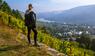 Wandern in den Weinbergen von  Rheinland-Pfalz