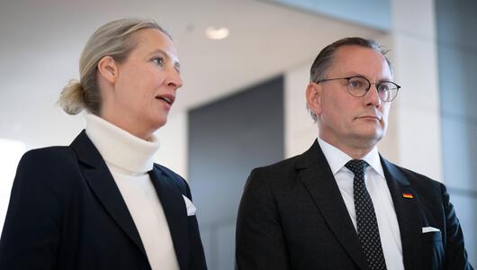 Alice Weidel, Tino Chrupalla