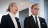 Alice Weidel, Tino Chrupalla