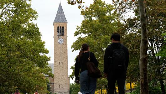 Elite-Universität Cornell