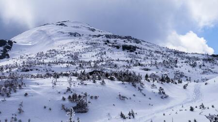 21-jährige Wanderin erfriert trotz Notruf – Hund wird gerettet