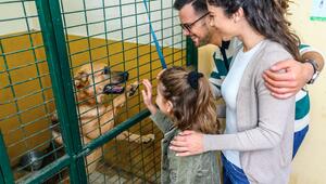 Adoption aus dem Tierheim