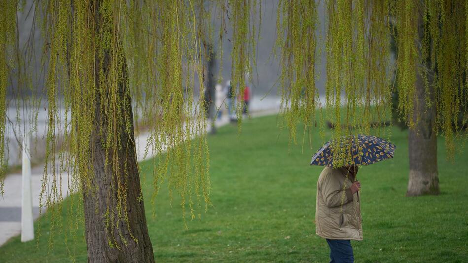 Ein Mann spaziert bei Regen durch die Koblenzer Rheinanlagen