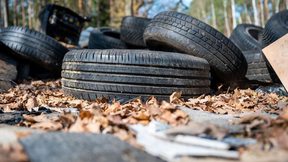 Autoreifen im Wald