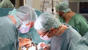 Organspende