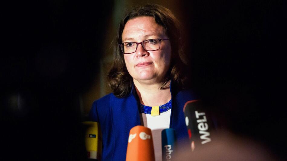 SPD, Umfrage, Andrea Nahles