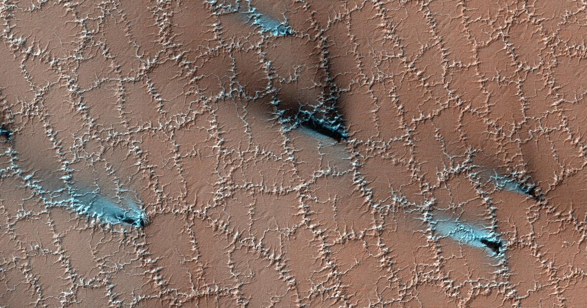 Plaster miodu i „fanki” na Marsie: co przedstawia to zdjęcie