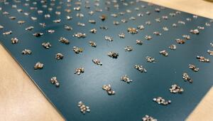 Sichergestellte Edelsteine