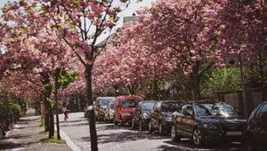 Parkende Autos in einer Straße in Marburg