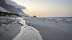 Jemen - Insel Sokotra