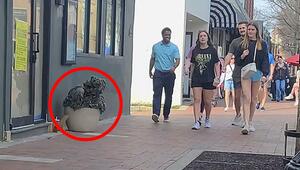 Getarnter Scherzkeks: „Pflanzenmann“ erschreckt ahnungslose Passanten