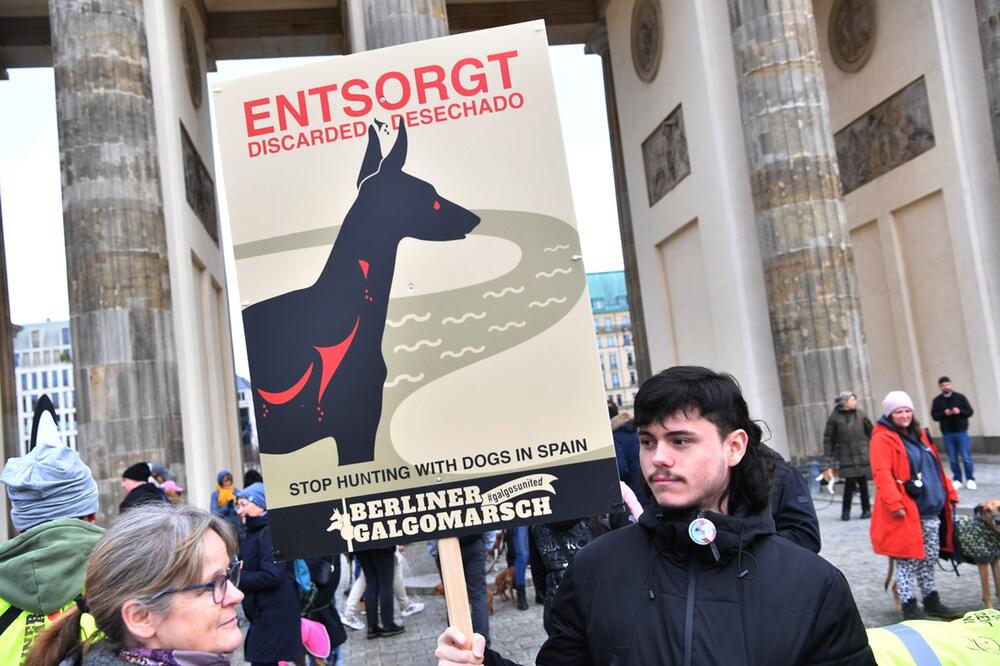 "Berliner Galgomarsch 2024" - Protestmarsch