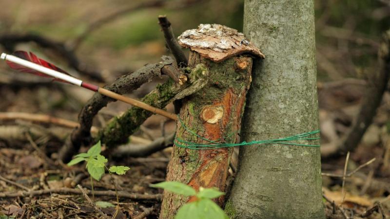 Geocaching in Thüringen