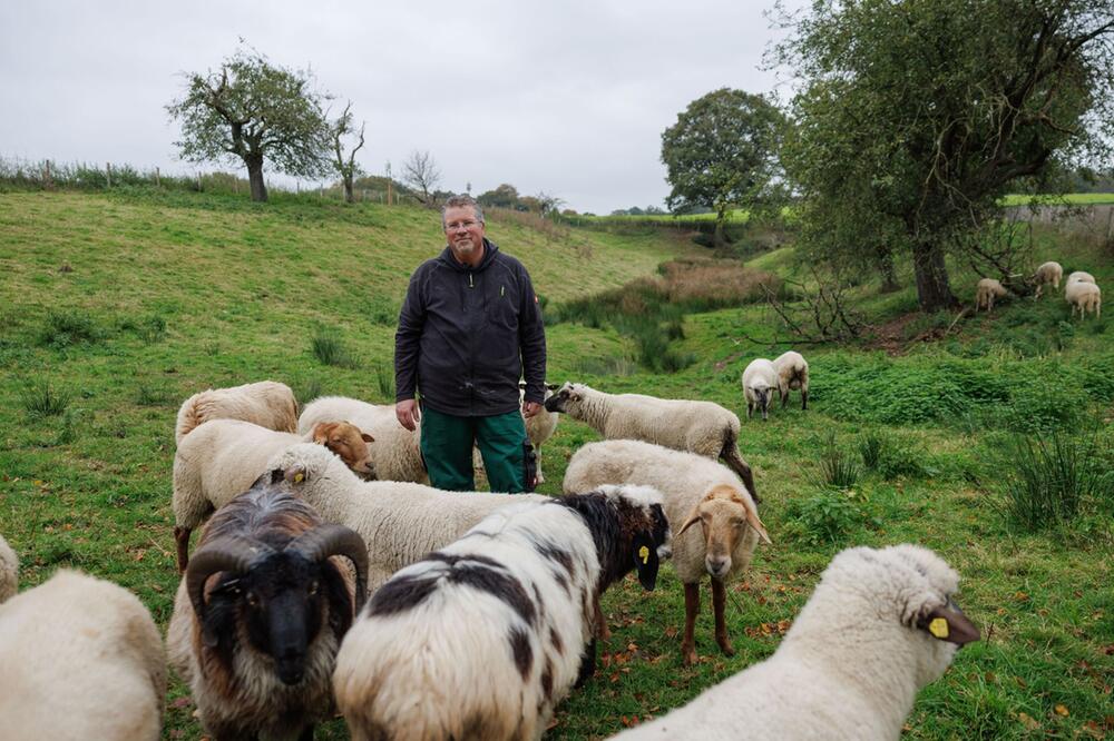 Schäfer hält schwule Schafe