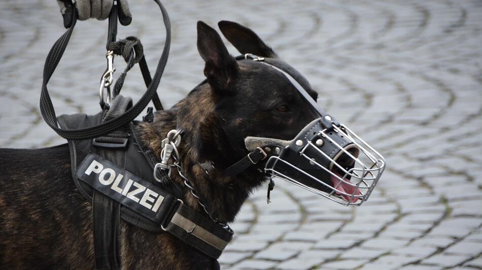 Polizeihunde als Waffe bei Demo?