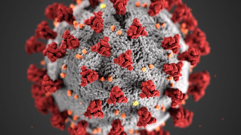 Coronavirus - Illustration des Virus