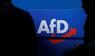 AfD Logo - SYMBOLBILD