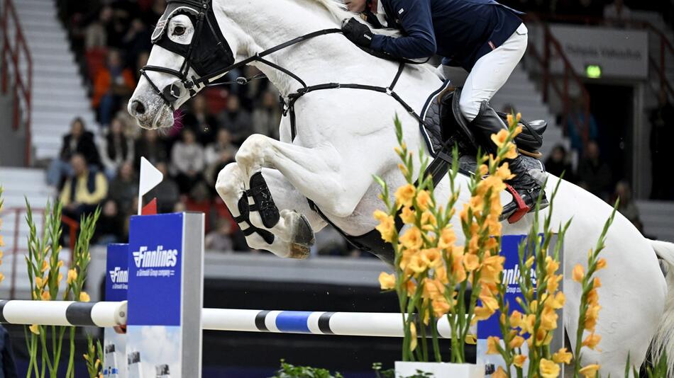 Springreiten Weltcup in Helsinki