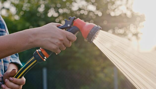 Wasser sparen im Garten – 7 einfache Tipps für heiße Tage