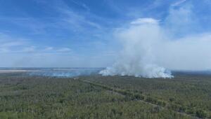 Rauchalarm in Brandenburg: Waldbrand in Sachsen zieht über die Landesgrenze