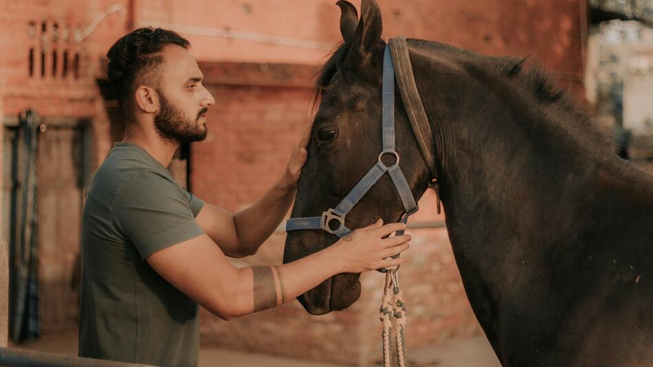 Auch für Pferde ist der Tierarzt teurer geworden.