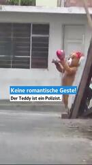 Polizei in Peru nimmt im Teddy-Kostüm Drogenhändlerinnen fest