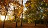 Der goldene Herbst kommt zurück