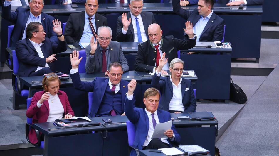 Die AfD-Fraktion im Bundestag